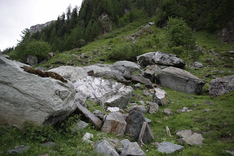 AUS01062009 (48).jpg